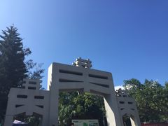 -宋井风景区