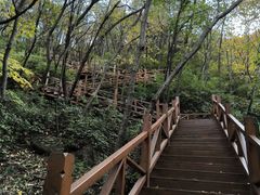 -大岭沟猕猴桃谷风景区