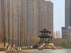 -洋湖国家湿地公园