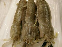 -渔娘渔家丹东海鲜(东直门店)