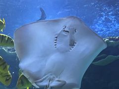 -欢乐海岸海洋奇梦馆