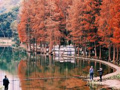 -重庆彩云湖湿地公园