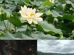 -昆明青龙峡风景区