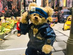 -济州岛泰迪熊博物馆