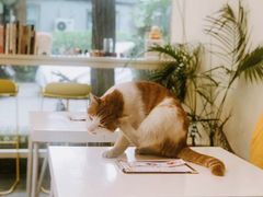 靠窗位-五进制 Coffee Shop