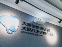 -大象音乐·吉他·架子鼓·声乐(双井店)