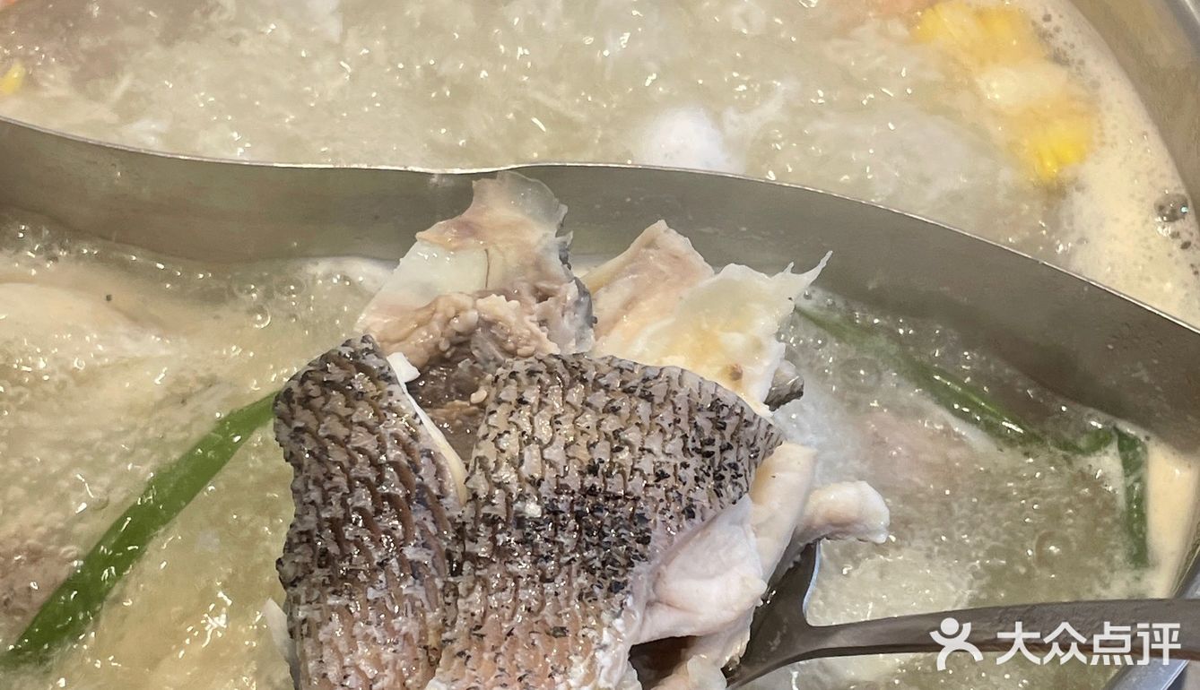 南阳本地人 吃过无数次的店 你不会还没吃过吧