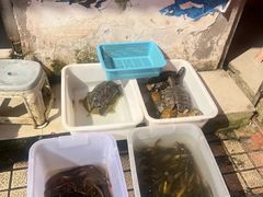 -西双版纳集贸市场