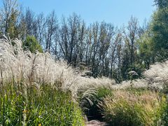 -野鸭湖国家湿地公园