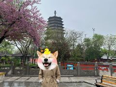 -天宁寺