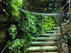 -肉串汪(望京店)