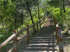 -白水寺森林公园