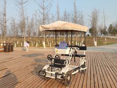 -汉长安城未央宫国家考古遗址公园