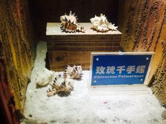 -南昌海洋公园