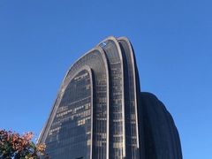 -凤凰中心