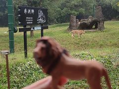 -杭州野生动物世界