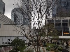 -深圳湾万象城(南山店)