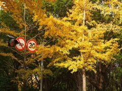 -上海交通大学(闵行校区)