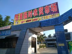 -万宁东星临时农贸市场