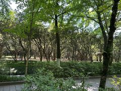 -杭州植物园