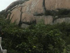 -洋山深水港