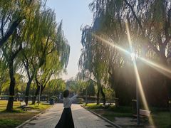 -上海大学(宝山校区)