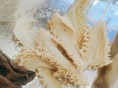 -金鼎雪山牦牛杂火锅(理县总店)