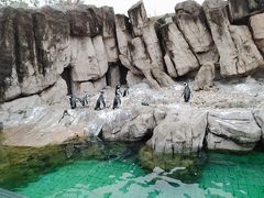 -上海野生动物园