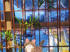 -柴门头啖汤·经典川菜·慢火汤品(锦城万达店)