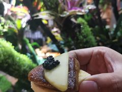 -森味薪火烧•烧鸟居酒屋•日本料理(望京店)
