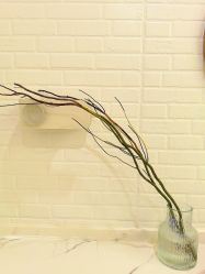 -FUMEIHUI·科技美肤·美体SPA