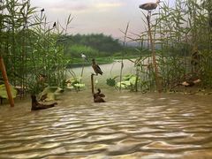-浙江自然博物院(杭州馆)