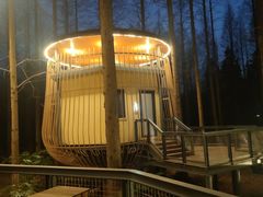 -黄海国家森林公园