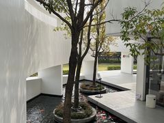 -紫马岭公园