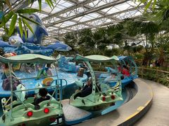 -南宫五洲植物乐园