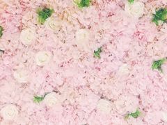 -樱花里音乐餐吧·牛扒椰子鸡(东圃店)