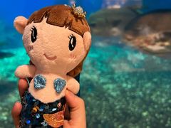 -涛·海底餐厅·美人鱼·自助餐·海底隧道(三亚海棠湾洲际度假酒店)
