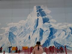 -哈尔滨热雪奇迹