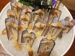 北海鲜蚌仔(小象拔蚌)-大良毋米粥(锦龙路总店)