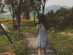 -西海岸生态观光园