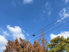 -嘉北郊野公园