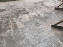 -杭州第一世界大酒店·云曼温泉