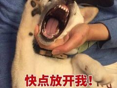 -嘉定宝龙广场