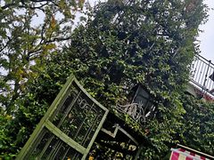 -三鹰之森吉卜力美术馆