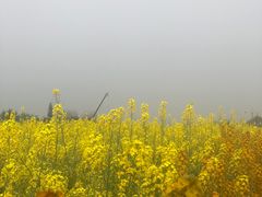 -中国天府农业博览园