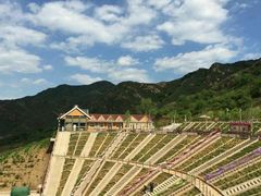 android_upload_pic-密云玫瑰情园