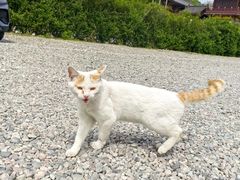 -四门塔风景区