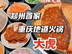 -大虎重庆老火锅(正弘城店)