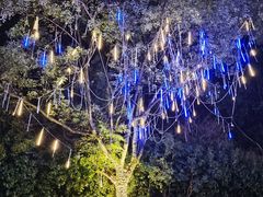 -远洲凤凰山庄臻味全日餐厅