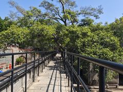 -胡里山炮台